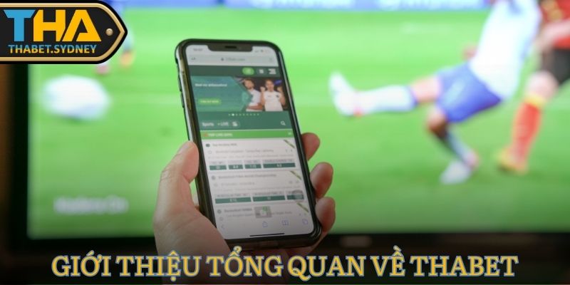 TRANG CHỦ 25 THABET