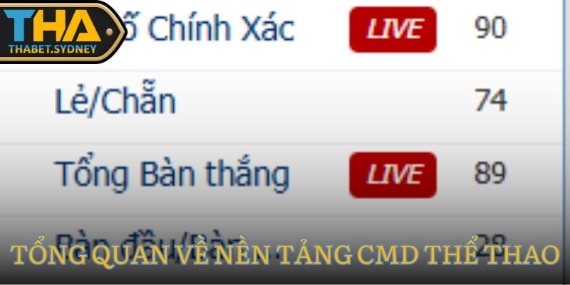 CMD Thể Thao Thabet – Sân Chơi Cá Cược Đỉnh Cao 2 Tổng quan về nền tảng CMD Thể Thao