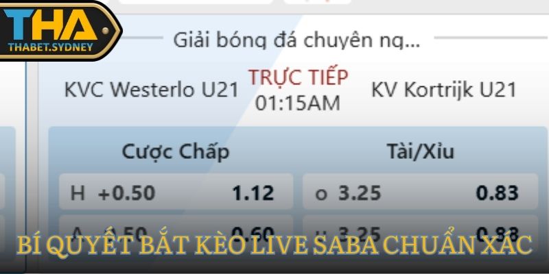 Hướng Dẫn Cách Chơi Kèo Trực Tiếp SABA Thể Thao Thabet 3 Bí quyết bắt kèo live SABA chuẩn xác