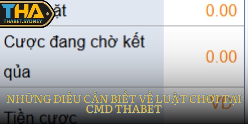 Game CMD - Thabet Giới thiệu Và Hướng Dẫn Luật Chơi 2 Những điều cần biết về luật chơi tại CMD Thabet