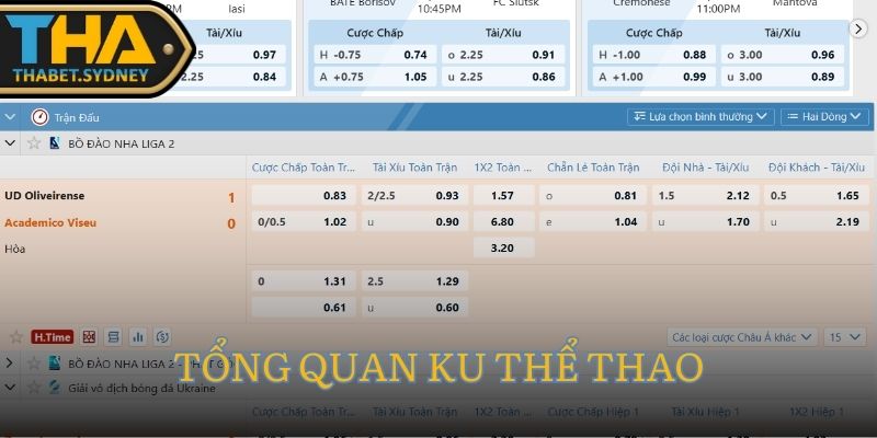 KU Thể Thao – Nền Tảng Cá Cược Bóng Đá Hàng Đầu Tại Thabet 1 Tổng quan KU Thể Thao – Sân chơi thể thao hấp dẫn tại Thabet