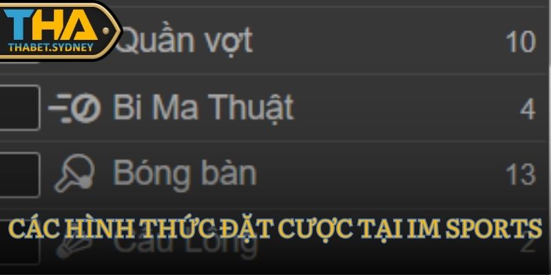 IM Thể Thao Thabet – Sân Chơi Cá Cược Thể Thao Đỉnh Cao 3 Các hình thức đặt cược tại IM Sports