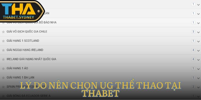 UG Thể Thao Thabet – Khám Phá Thế Giới Thể Thao Sôi Động 3 Lý do nên chọn UG Thể Thao tại Thabet