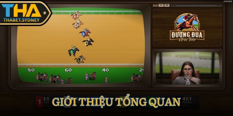Đường Đua Thabet: Game Đua Ngựa Live Casino Siêu Hấp Dẫn 2 Giới thiệu game Đường Đua tại sảnh cược Thabet
