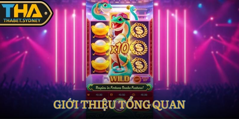 Rắn May Mắn Thabet – Slot 3 cuộn nhân x10, thắng lớn tới 5000x 2 Giới thiệu tổng quan về game Rắn May Mắn