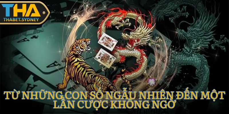 Hân Bán Vé Số nhẹ tay cửa Xỉu, về đúng 210 triệu từ game Rồng Hổ Thabet 2 Hân Bán Vé Số nhẹ tay cửa Xỉu, về đúng 210 triệu từ game Rồng Hổ Thabet